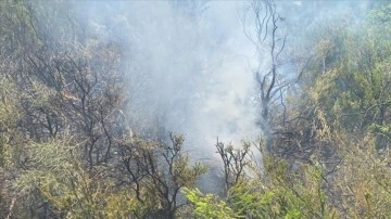 Fethiye'de yıldırım isabet eden ormanlık alanda çıkan yangın söndürüldü