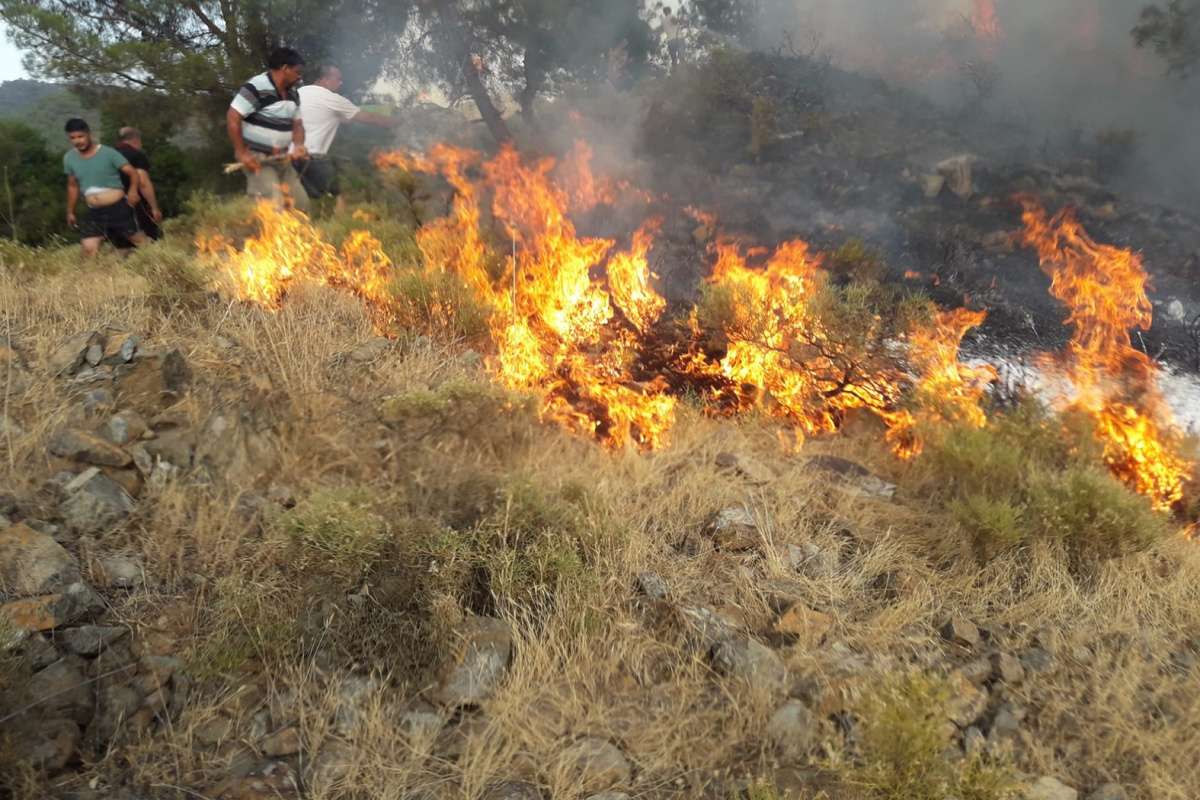 Fethiye'deki orman yangını büyümeden söndürüldü