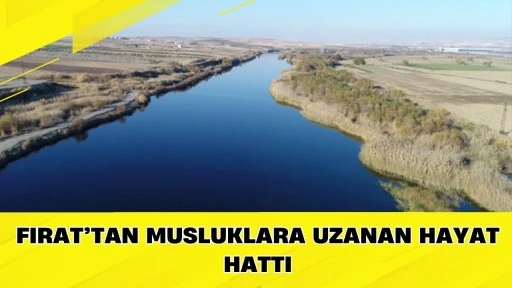Fırat&rsquo;tan Musluklara Uzanan Hayat Hattı