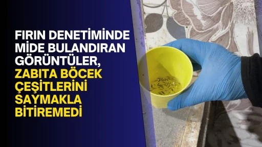 Fırın denetiminde mide bulandıran görüntüler, zabıta böcek çeşitlerini saymakla bitiremedi