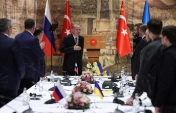 Garantör olursa Türkiye'yi neler bekliyor? Zelenski'nin danışmanı, beklentilerini sıraladı