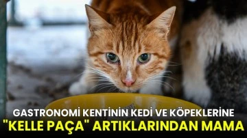 Gastronomi kentinin kedi ve k&ouml;peklerine "kelle pa&ccedil;a" artıklarından mama