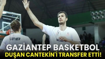 Gaziantep Basketbol, Duşan Cantekin'i transfer etti!