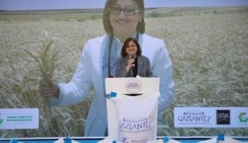 Gaziantep Büyükşehir Belediyesi 200 ton buğday tohumu dağıttı