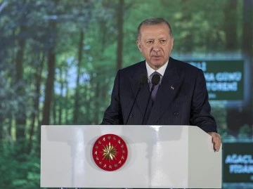 Cumhurbaşkanı Erdoğan: 81 ile 81 Millet Ormanı Yapılacak