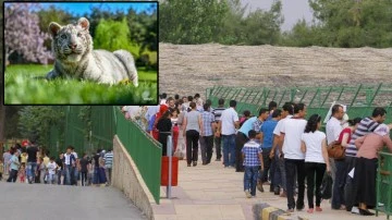 Gaziantep Doğal yaşam Parkı 9 günde 225 bin ziyaretçiyi ağırladı