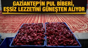 Gaziantep'in pul biberi, eşsiz lezzetini güneşten alıyor
