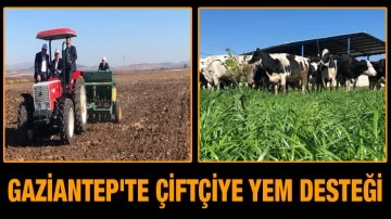 Gaziantep'te Çiftçiye Yem desteği
