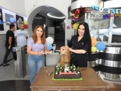 Gaziantep'te köpeğe sürpriz doğum günü partisi