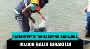 Gaziantep'te Tahtaköprü Barajına balık bırakıldı