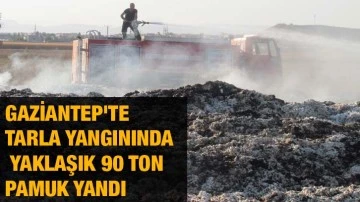 Gaziantep'te tarla yangınında yaklaşık 90 ton pamuk yandı