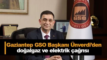 Gaziantep GSO Başkanı Ünverdi’den doğalgaz ve elektrik çağrısı