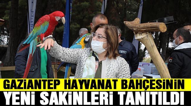 Gaziantep Hayvanat Bahçesinin yeni sakinleri tanıtıldı 