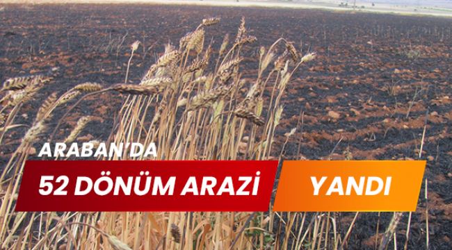 52 dönüm arazide ekili buğday ve arpa kül oldu