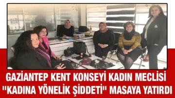 Gaziantep Kent Konseyi Kadın Meclisi &quot;Kadına yönelik şiddeti&quot; masaya yatırdı
