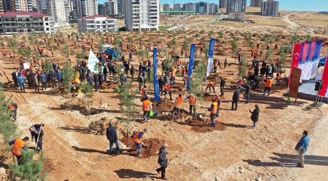Gaziantep kent merkezi ağaçlarla donatılıyor