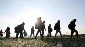 Kilis’te kaçak göçmenler yakalandı