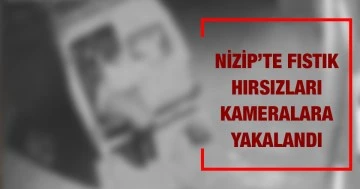Nizip’te Fıstık hırsızları kameralara yakalandı