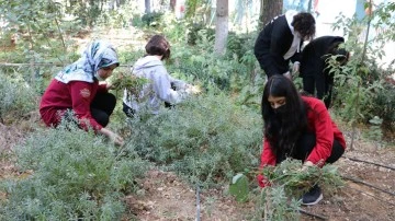 Öğrencilere biyolojiyi sevdirmek için kurulan botanik bahçesi uluslararası projelerde tanıtıldı