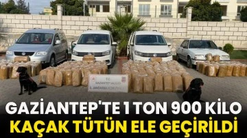 Gaziantep'te 1 ton 900 kilo kaçak tütün ele geçirildi