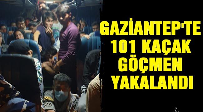 Gaziantep'te 101 kaçak göçmen yakalandı