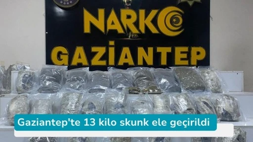 Gaziantep'te 13 kilo skunk ele geçirildi