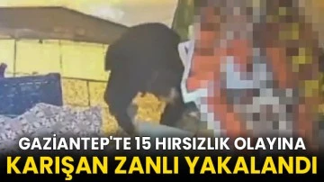 Gaziantep'te 15 hırsızlık olayına karışan zanlı yakalandı