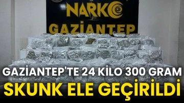 Gaziantep'te 24 kilo 300 gram skunk ele geçirildi