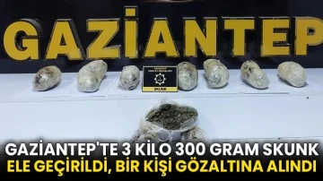 Gaziantep'te 3 kilo 300 gram skunk ele geçirildi, bir kişi gözaltına alındı