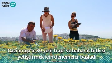 Gaziantep'te 30 yeni tıbbi ve baharat bitkisi yetiştirmek için denemeler başladı