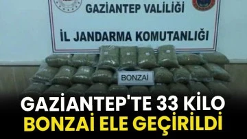 Gaziantep'te 33 Kilo Bonzai Ele Geçirildi