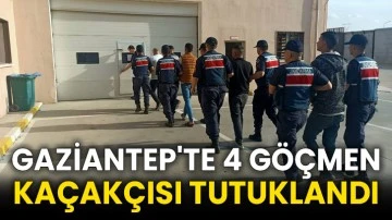 Gaziantep'te 4 göçmen kaçakçısı tutuklandı