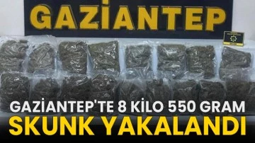 Gaziantep'te 8 kilo 550 gram skunk yakalandı!
