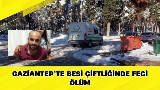 Gaziantep&rsquo;te Besi &Ccedil;iftliğinde Feci &Ouml;l&uuml;m