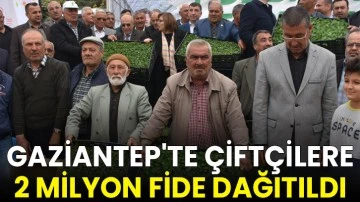 Gaziantep'te çiftçilere 2 milyon fide dağıtıldı