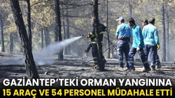 Gaziantep'te çıkan orman yangını söndürüldü