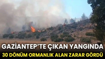 Gaziantep’te çıkan yangında 30 dönüm ormanlık alan zarar gördü