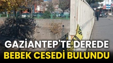 Gaziantep'te derede bebek cesedi bulundu