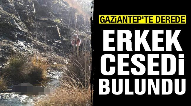 Gaziantep'te derede erkek cesedi bulundu