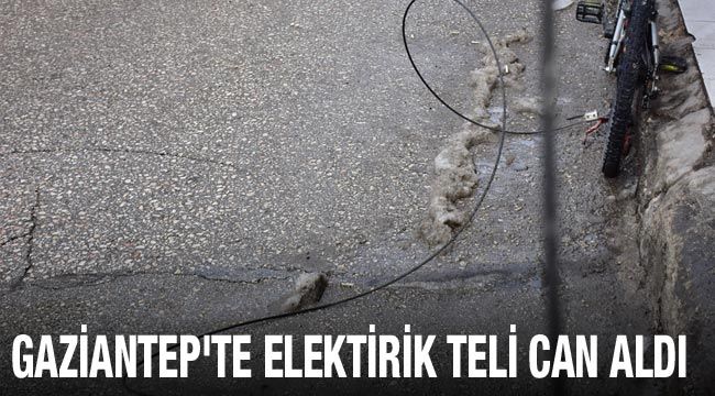 Gaziantep'te elektirik teli can aldı