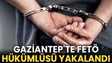 Gaziantep'te FETÖ hükümlüsü yakalandı