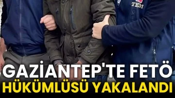 Gaziantep'te FETÖ hükümlüsü yakalandı