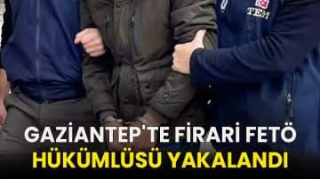 Gaziantep'te Firari FETÖ Hükümlüsü Yakalandı