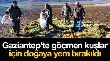 Gaziantep'te göçmen kuşlar için doğaya yem bırakıldı