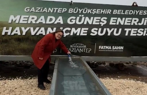 Gaziantep&rsquo;te Hayvancılık İ&ccedil;in Su Atağı