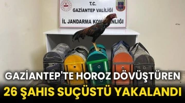 Gaziantep'te horoz dövüştüren 26 şahıs suçüstü yakalandı