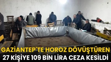 Gaziantep'te horoz dövüştüren 27 kişiye 109 bin lira ceza kesildi