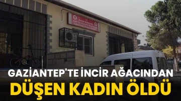 Gaziantep'te incir ağacından düşen kadın öldü