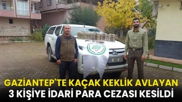 Gaziantep'te kaçak keklik avlayan 3 kişiye idari para cezası kesildi