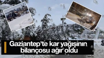 Gaziantep'te kar yağışının bilançosu ağır oldu